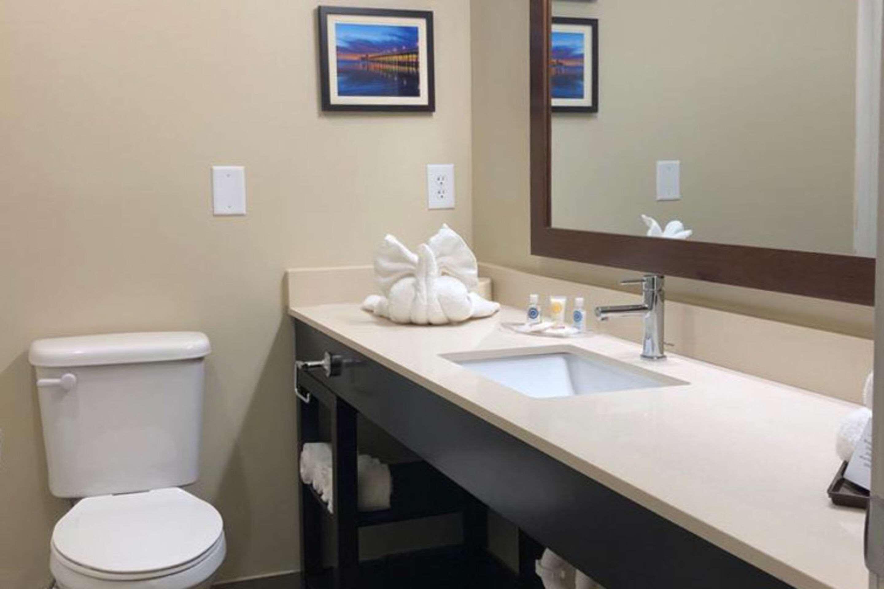 Comfort Suites Near Camp Lejeune Jacksonville Ngoại thất bức ảnh