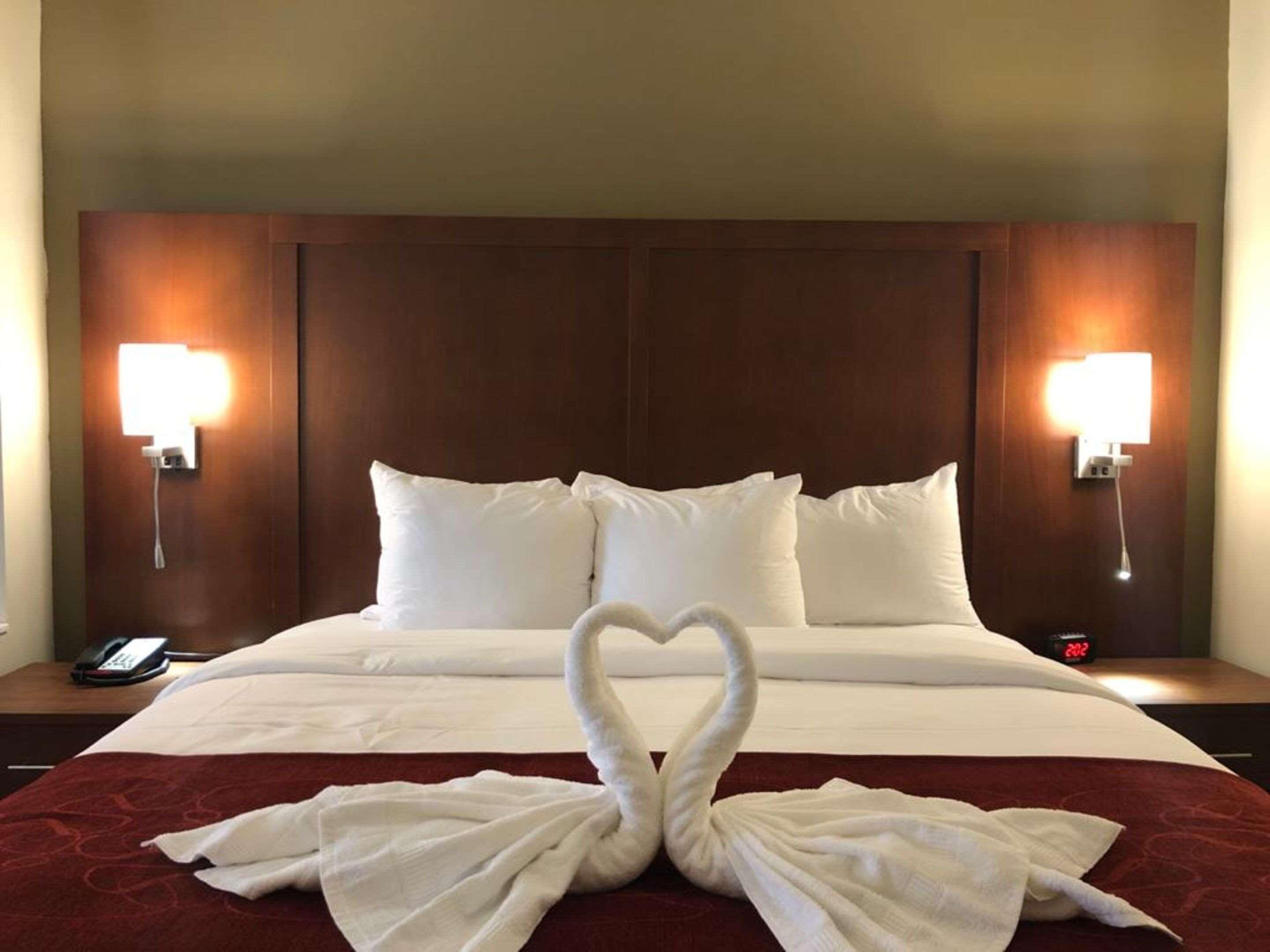 Comfort Suites Near Camp Lejeune Jacksonville Ngoại thất bức ảnh