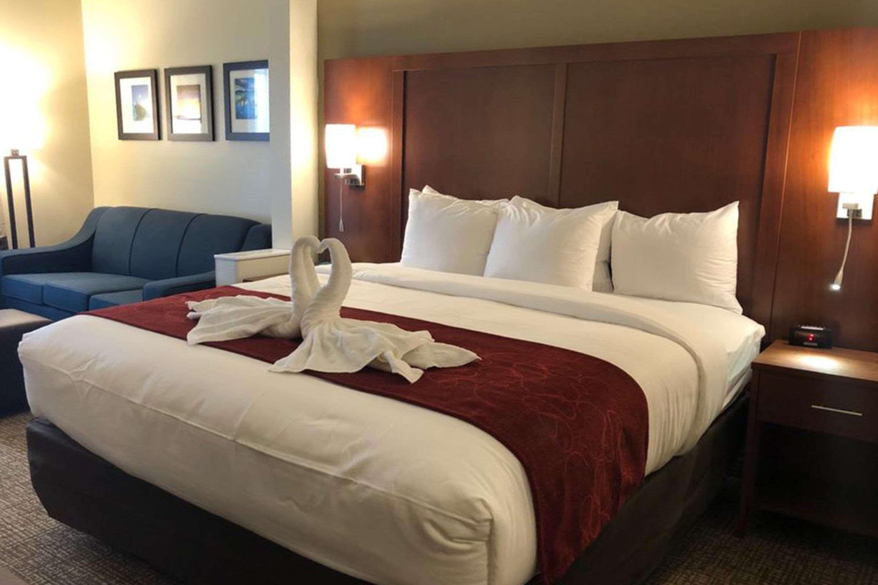 Comfort Suites Near Camp Lejeune Jacksonville Ngoại thất bức ảnh