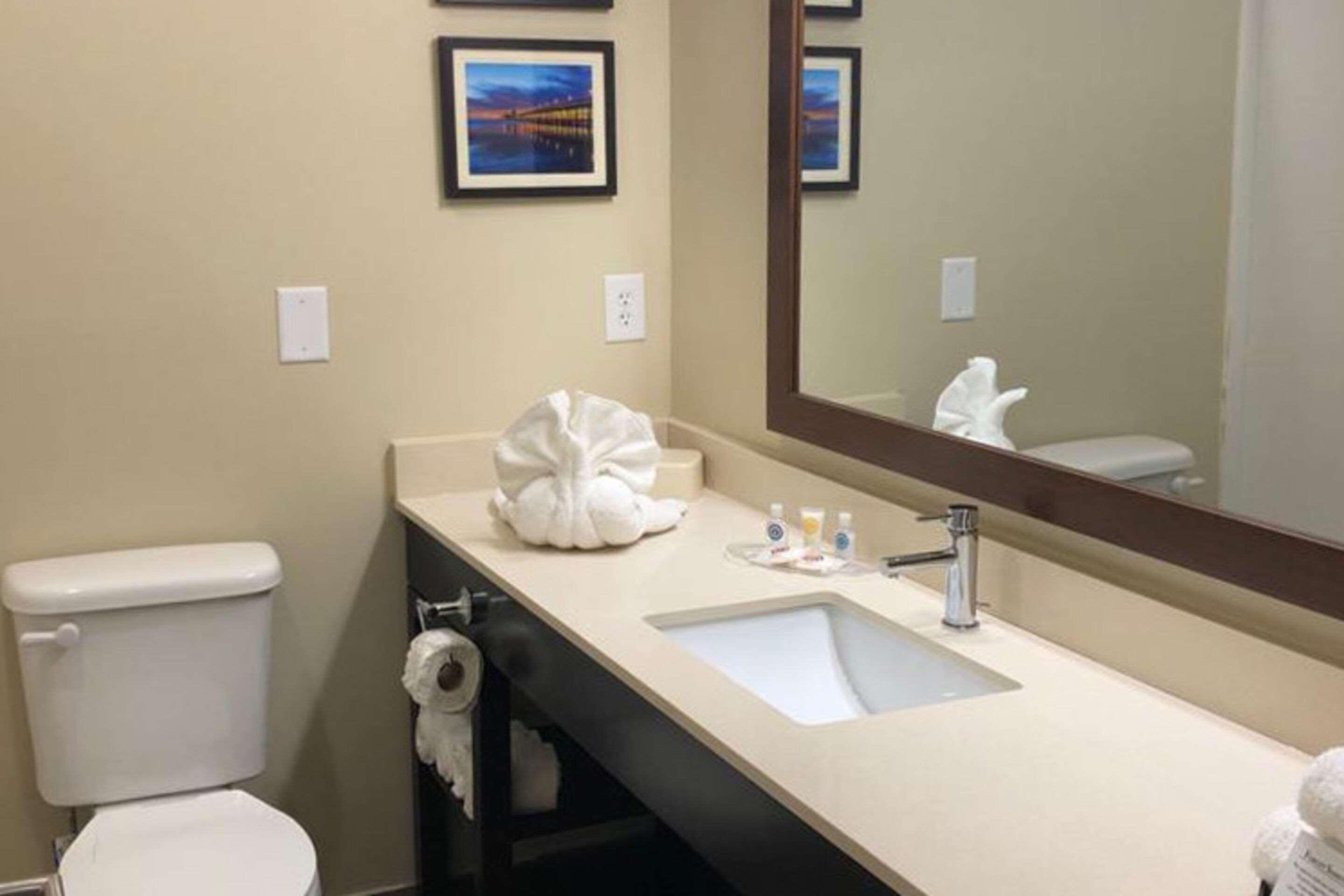 Comfort Suites Near Camp Lejeune Jacksonville Ngoại thất bức ảnh